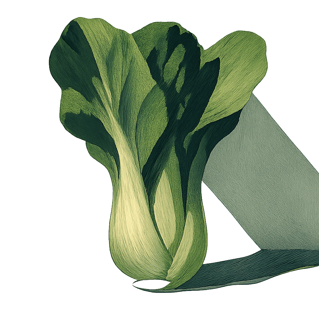Baby bok choy